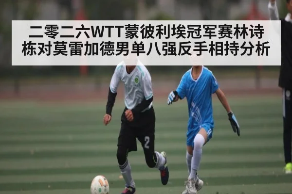 二零二六WTT蒙彼利埃冠军赛林诗栋对莫雷加德男单八强反手相持分析